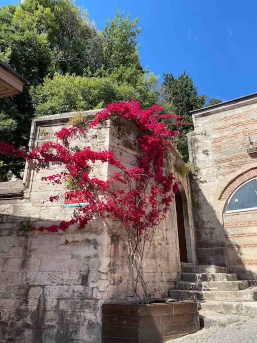 Erkul Old City 2 Leilighet Istanbul Eksteriør bilde